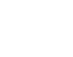 Feengster